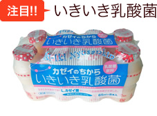 【注目!!】いきいき乳酸菌